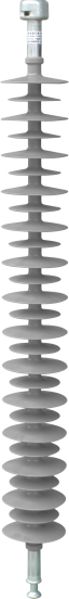 CS
